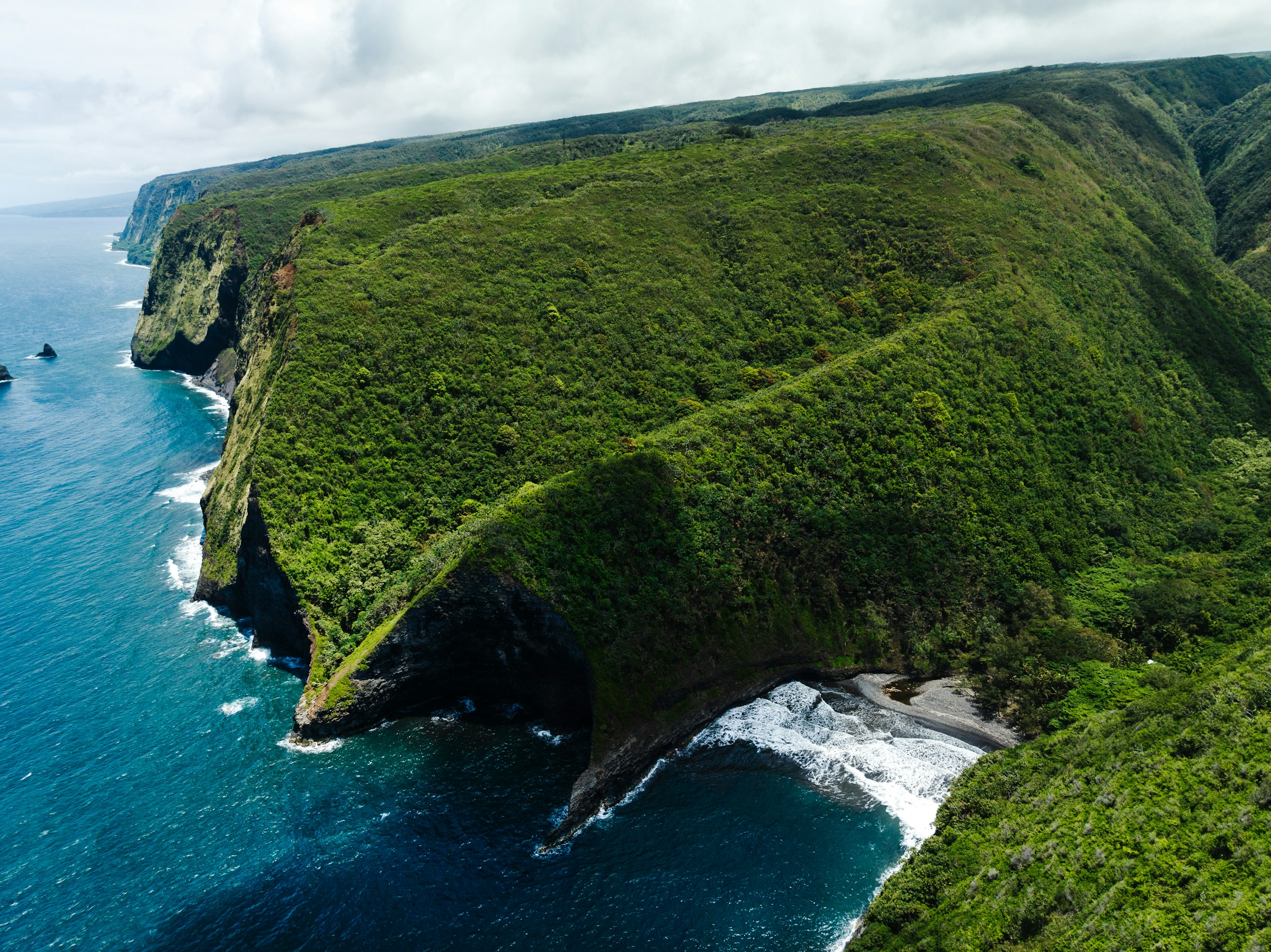 Lush coastal mountains meeting the ocean